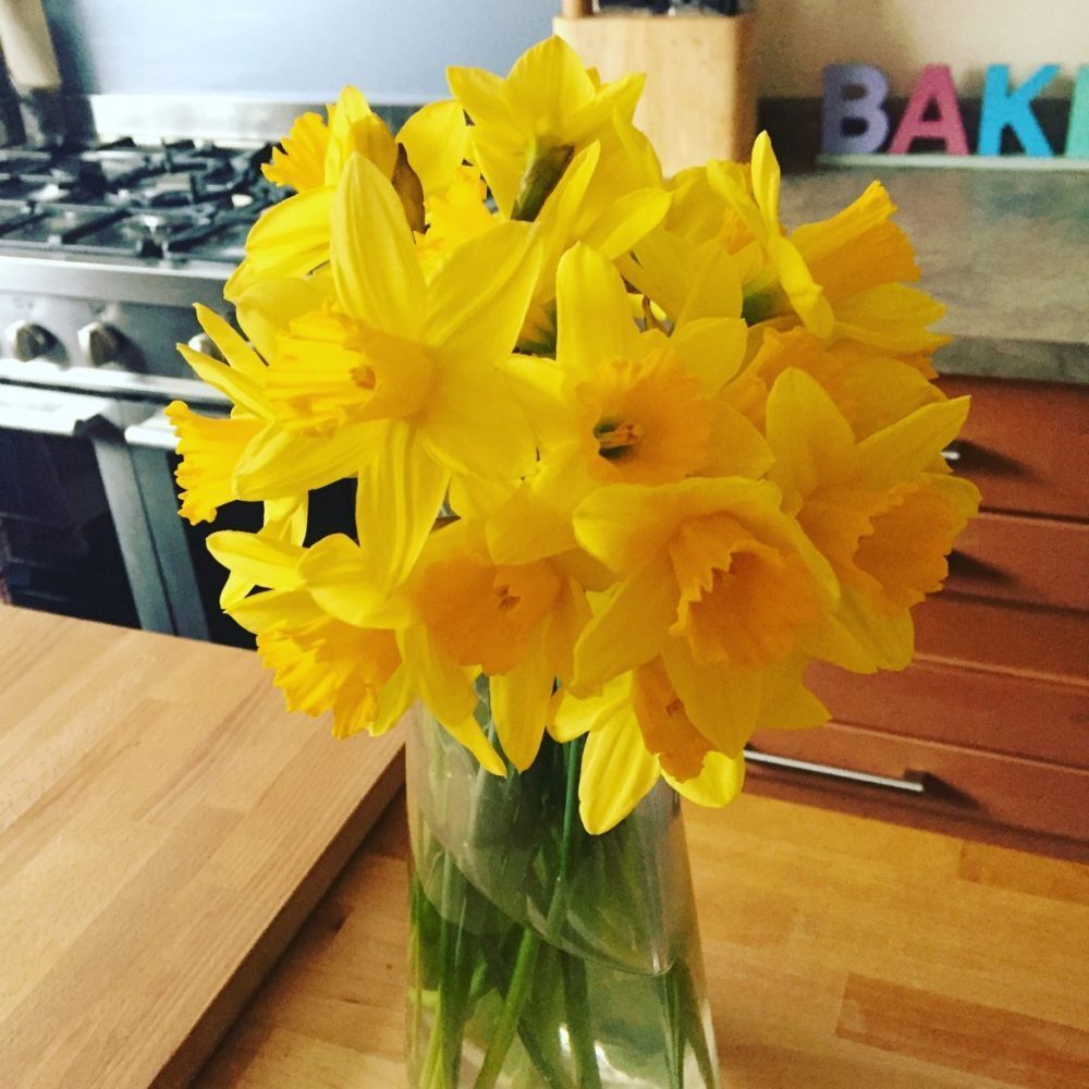 Snapshot of the Month Snapshot of the Month