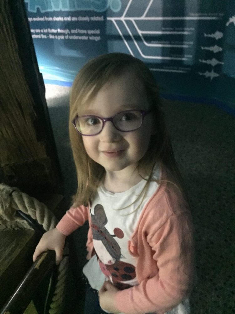 Snapshot of the Month Snapshot of the Month