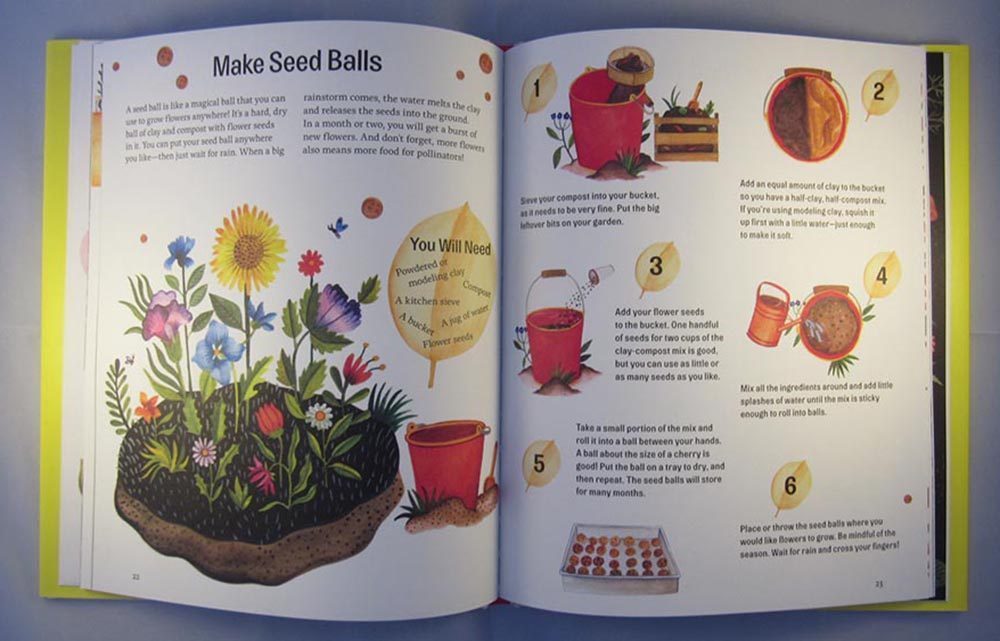 page of instructions detailing how to make seed balls