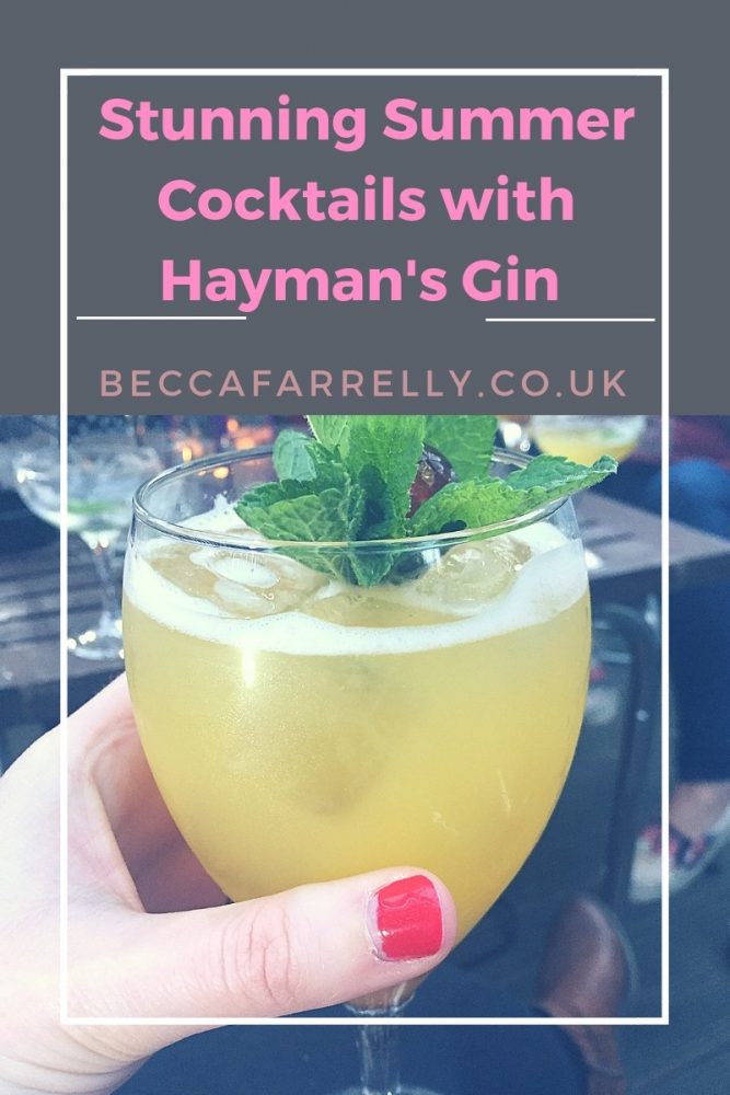 Cover image for Haymans Gin